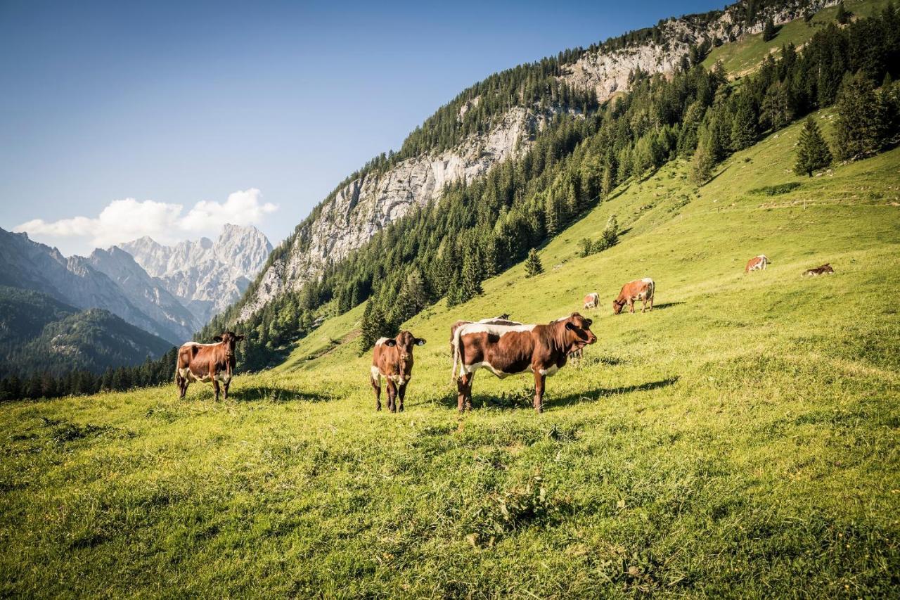 Ferienwohnung Im Gaestehaus Sieger-Brandner Ramsau bei Berchtesgaden Exterior foto
